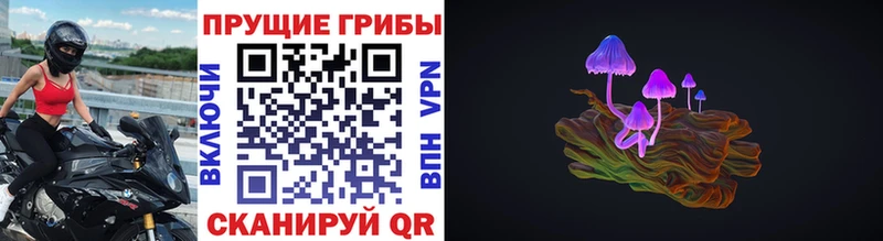Галлюциногенные грибы Psilocybine cubensis  Купить  Колпашево 