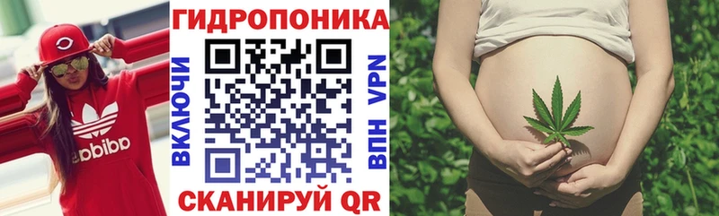 Купить закладки  Колпашево  Конопля сатива 